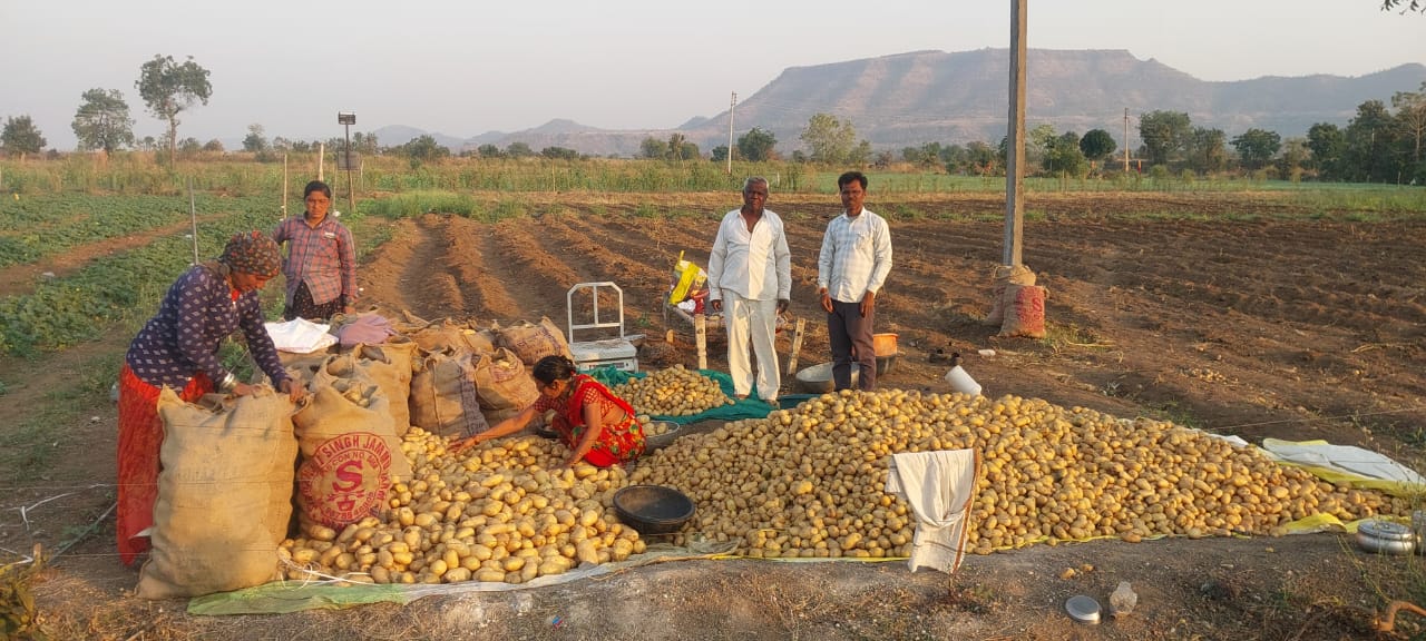 कंकराळा येथील शेतकऱ्याने नऊ महिन्यांमध्ये तिन पिके घेऊन विक्रमी उत्पन्न घेत घडवला आदर्श–